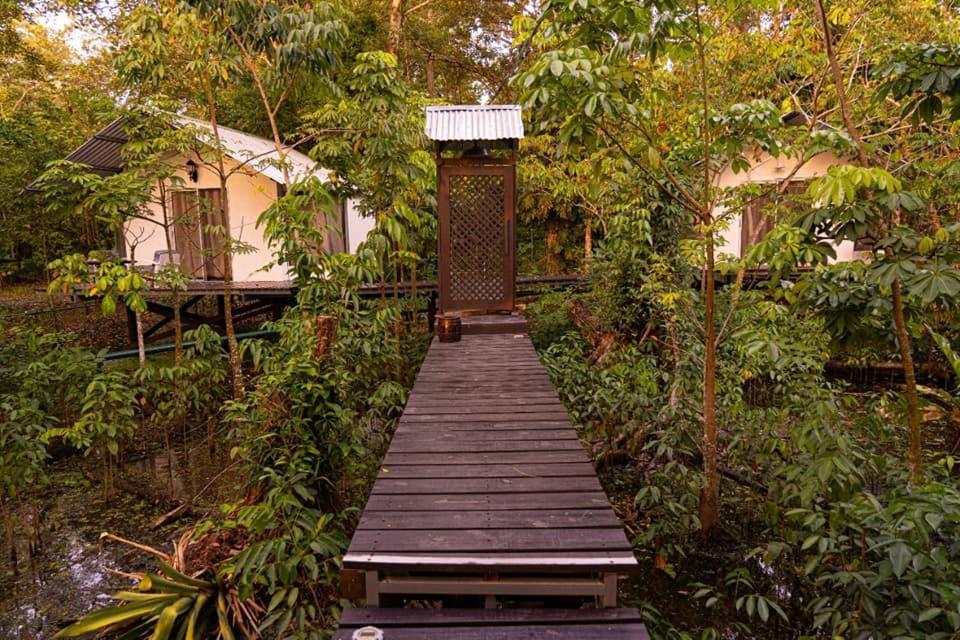 Dreamcatcher Eco Lodge (Adults Only) 리오 둘쎄 외부 사진