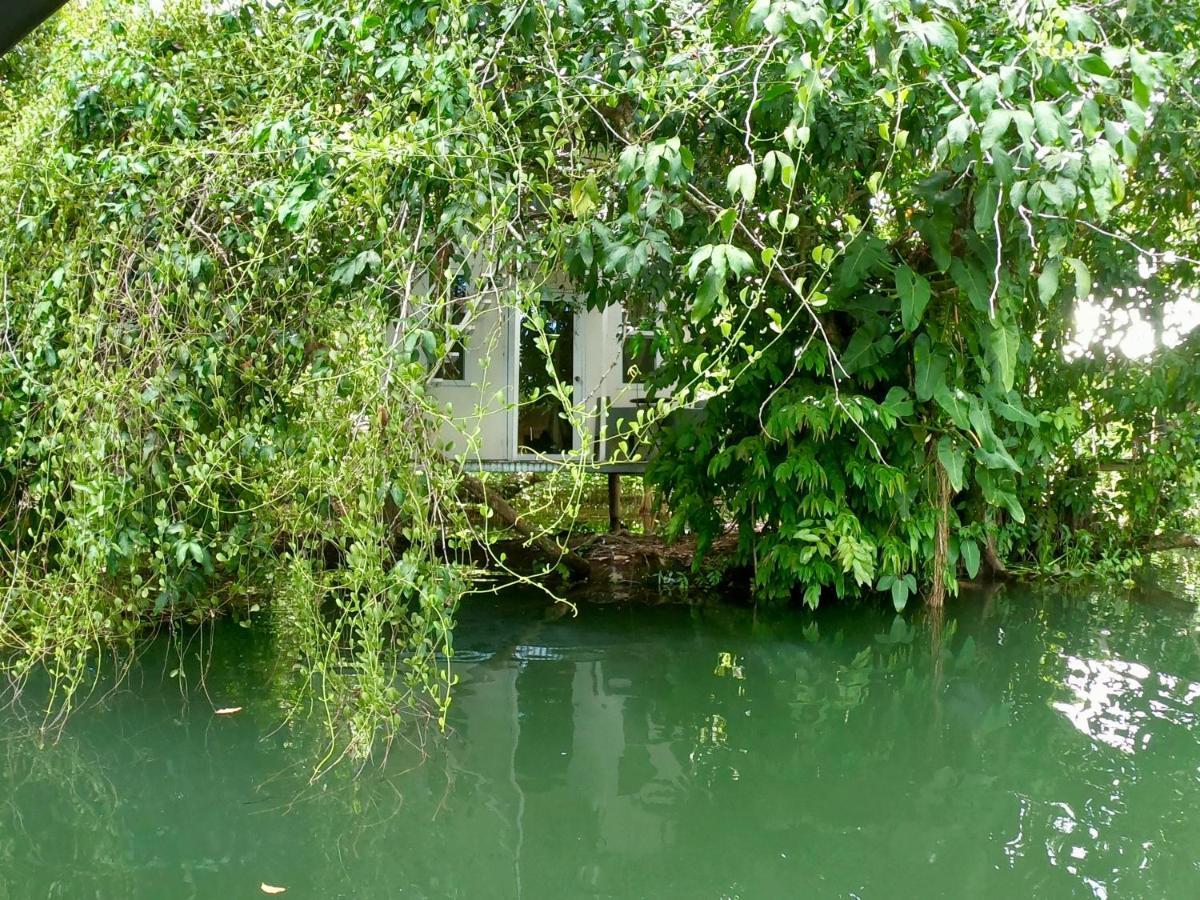 Dreamcatcher Eco Lodge (Adults Only) 리오 둘쎄 외부 사진