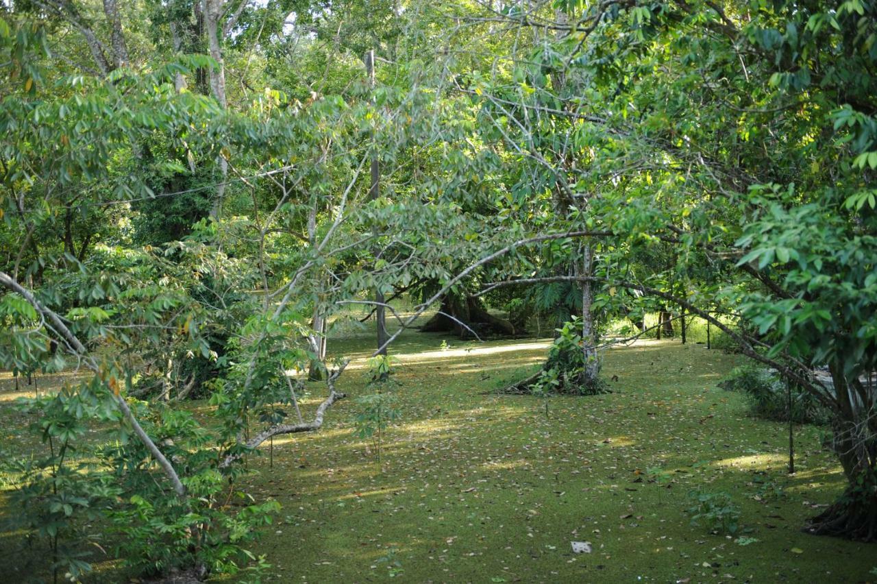 Dreamcatcher Eco Lodge (Adults Only) 리오 둘쎄 외부 사진